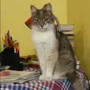 Отзыв от Людмила Орехова